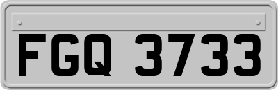 FGQ3733