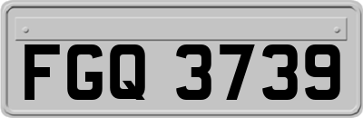 FGQ3739