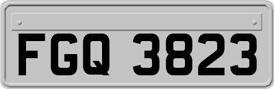 FGQ3823