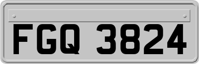 FGQ3824