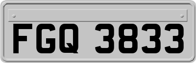 FGQ3833