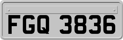 FGQ3836