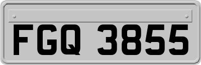 FGQ3855