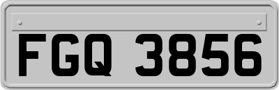 FGQ3856