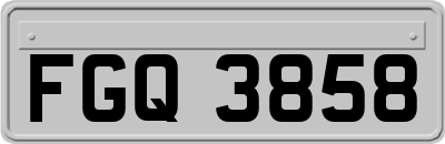 FGQ3858