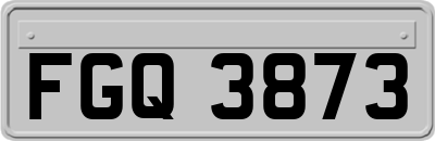 FGQ3873