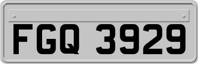 FGQ3929