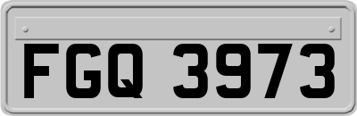 FGQ3973