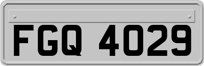 FGQ4029