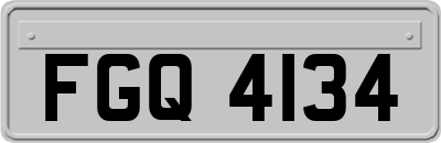 FGQ4134