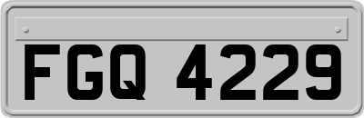 FGQ4229