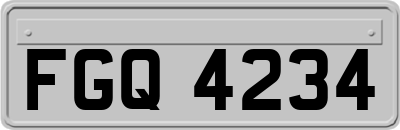 FGQ4234
