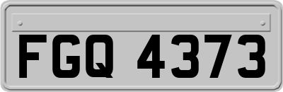 FGQ4373