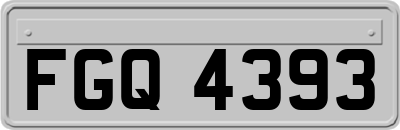 FGQ4393