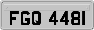 FGQ4481