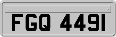 FGQ4491