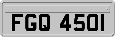 FGQ4501