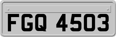 FGQ4503