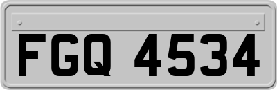 FGQ4534
