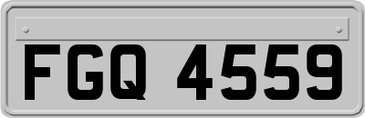 FGQ4559