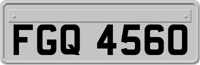 FGQ4560