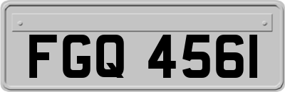 FGQ4561
