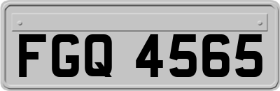 FGQ4565
