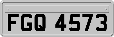 FGQ4573
