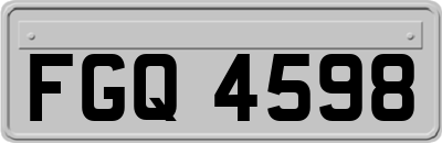 FGQ4598