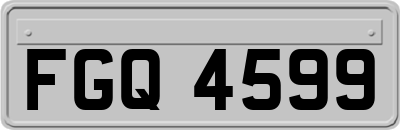 FGQ4599