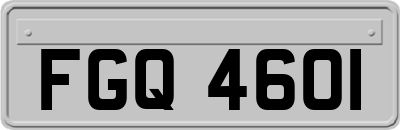 FGQ4601