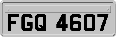 FGQ4607