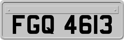 FGQ4613