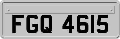 FGQ4615