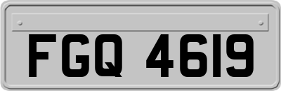 FGQ4619