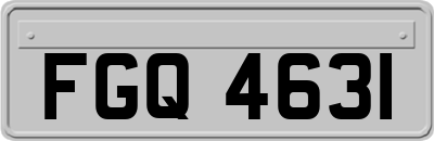 FGQ4631