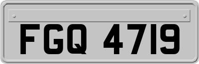 FGQ4719