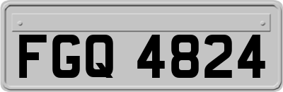 FGQ4824