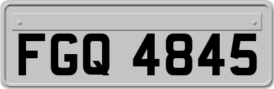 FGQ4845