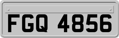 FGQ4856