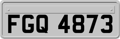 FGQ4873