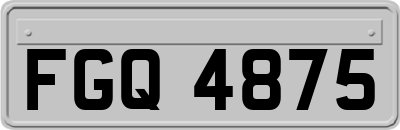 FGQ4875