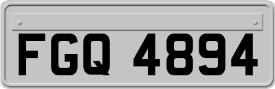 FGQ4894