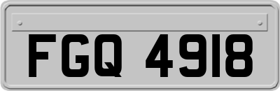 FGQ4918