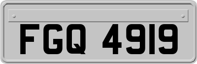 FGQ4919