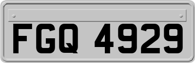 FGQ4929