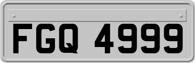 FGQ4999