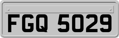 FGQ5029