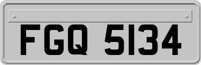 FGQ5134