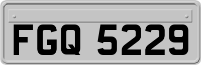 FGQ5229